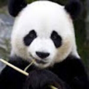 Meet your Posher, Yasmin